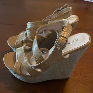 Wet Seal Wedges